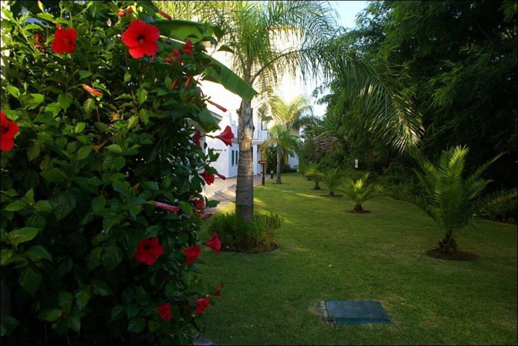 Beautiful Apartment Sea&Mountains Views La Cala De Mijas Extérieur photo